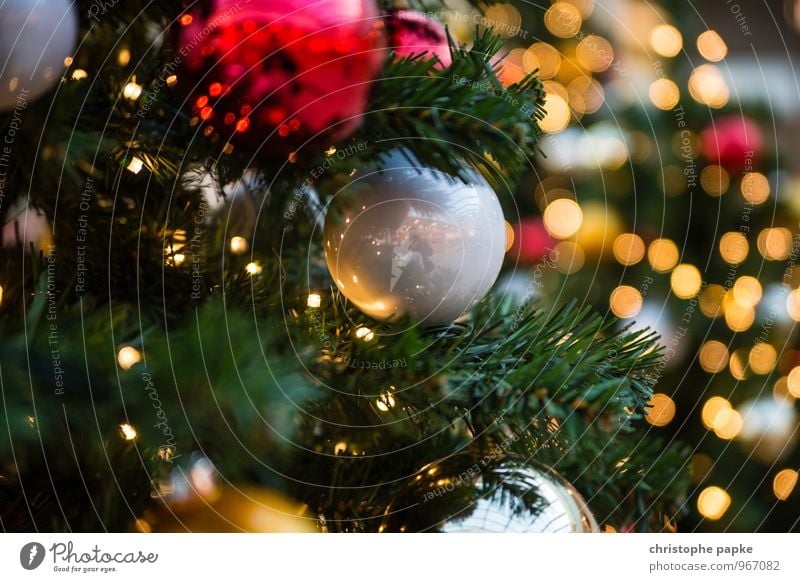 Season's Greeting IV Feste & Feiern Weihnachten & Advent Baum Dekoration & Verzierung Kitsch Krimskrams leuchten Weihnachtsdekoration Weihnachtsbaum