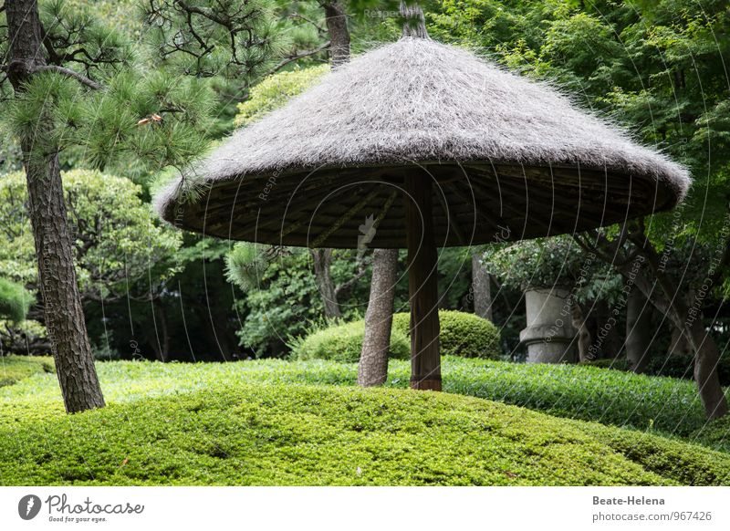 Japanische Gartenästhetik harmonisch Wohlgefühl Erholung Wetter Baum Sträucher Grünpflanze Park Japanischer Garten atmen beobachten entdecken ästhetisch