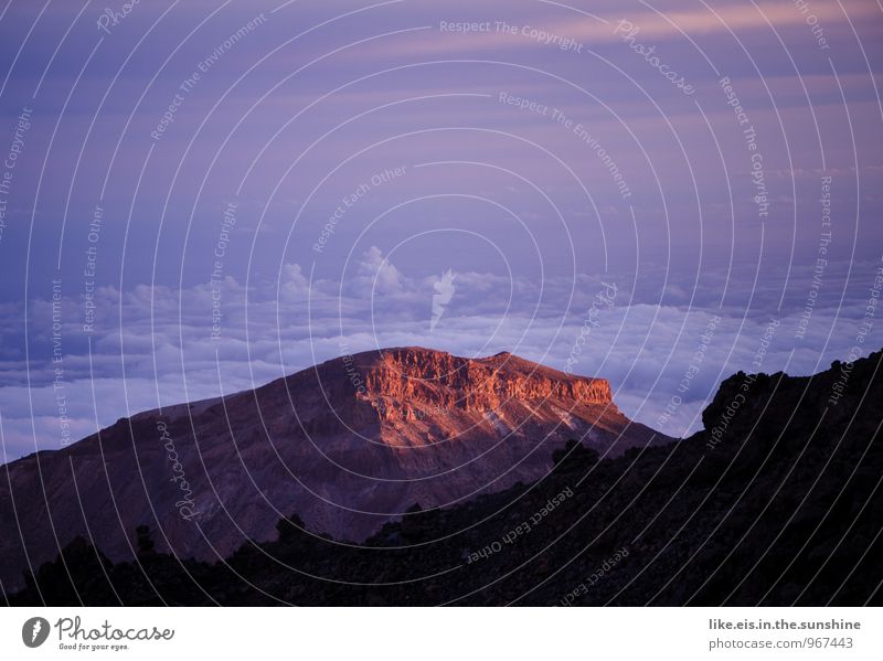 Sonnenuntergang auf dem Teide Umwelt Natur Landschaft Berge u. Gebirge Ferne Wolken Teneriffa Bergkette Gipfel Abenddämmerung Farbfoto