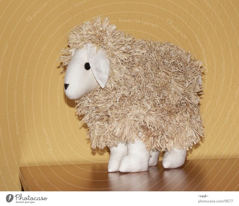 Schaf Tier Dekoration & Verzierung Trödel Krimskrams Rasenmäher Haustier Häusliches Leben Bähhh Ramsch keine Kuh
