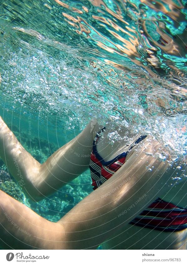 Mädchen im Meer tauchen Frau Sommer Taucher Bikini Badeanzug Hand rot Wasseroberfläche Oberfläche Jugendliche Spieglung Körper Wasserspieglung blau Haut Arme