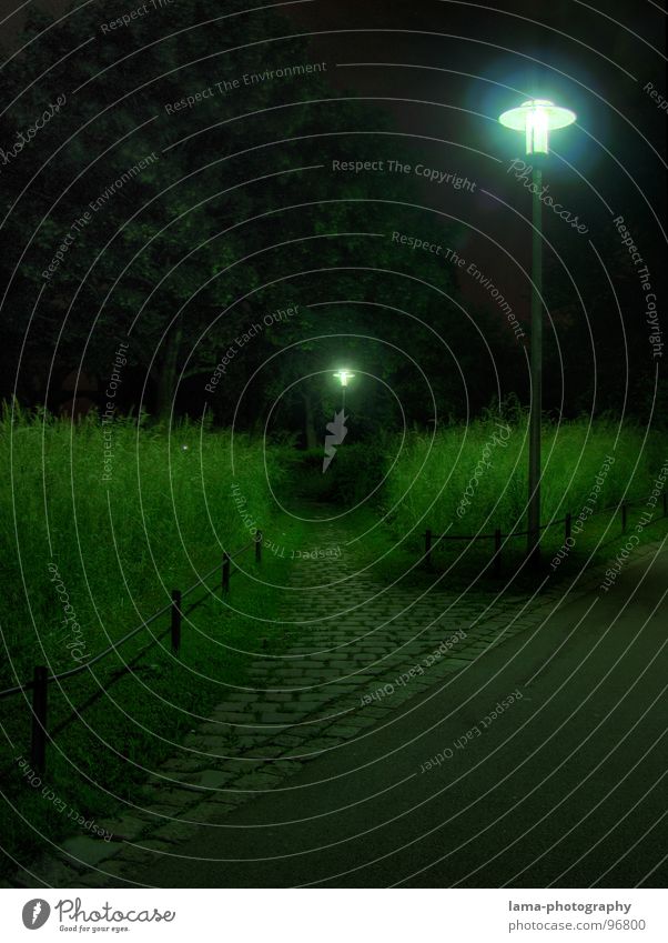 Folge dem Licht Gasse Abzweigung schäbig Wiese Spaziergang Nacht dunkel unheimlich Gras Halm Schilfrohr Sträucher Löwenzahn grün Straßenbeleuchtung Laterne