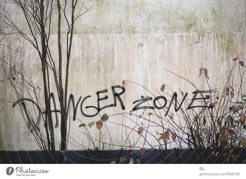 gefahrenzone Natur Herbst Baum Sträucher Blatt Ast Mauer Wand Schriftzeichen Graffiti dreckig trist gefährlich Zerstörung Risiko Farbfoto Gedeckte Farben