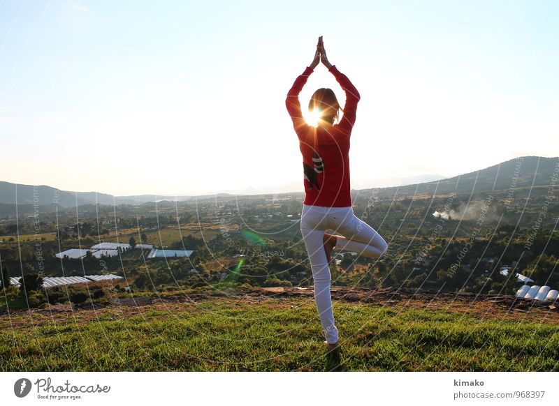 oben Lifestyle schön Körper Gesundheit Wellness Leben Erholung ruhig Meditation Freiheit Berge u. Gebirge Yoga feminin Junge Frau Jugendliche 1 Mensch Umwelt