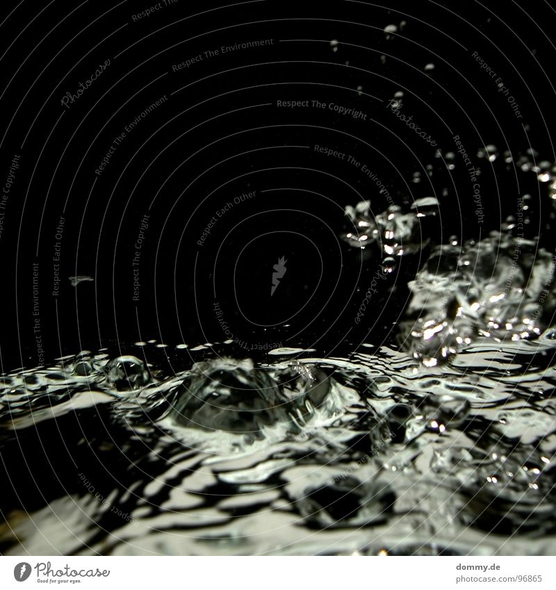 LIQUID|DREAMS Flüssigkeit schwarz dunkel spritzen Wellen fließen Makroaufnahme ertrinken Nahaufnahme Wasser liquiud Blase Wassertropfen Teile u. Stücke hell