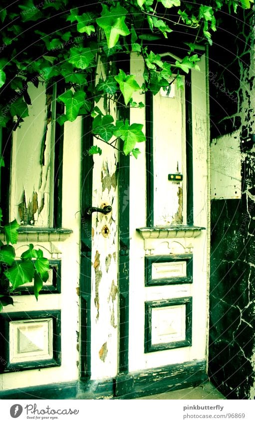 Wohin führt wohl diese Tür??? Schlüsselloch Altbau Griff Ruine dreckig weiß grün geheimnisvoll Außenaufnahme verfallen Efeu Pflanze Türrahmen Durchgang Eingang