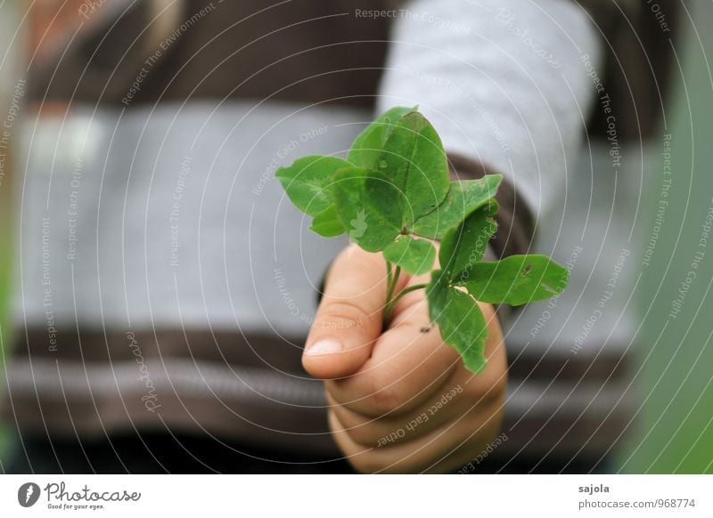 glück³ Mensch androgyn Kind Kleinkind Hand 1 1-3 Jahre Umwelt Pflanze Grünpflanze Nutzpflanze Klee Kleeblatt festhalten Glück schenken geben zeigen vierblättrig