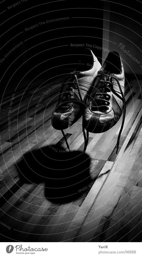 beflügelt Schuhe Turnschuh Holzfußboden Schiffsplanken Parkett Laminat Schuhbänder Schlagschatten schwarz weiß grau Zauberei u. Magie fluchen