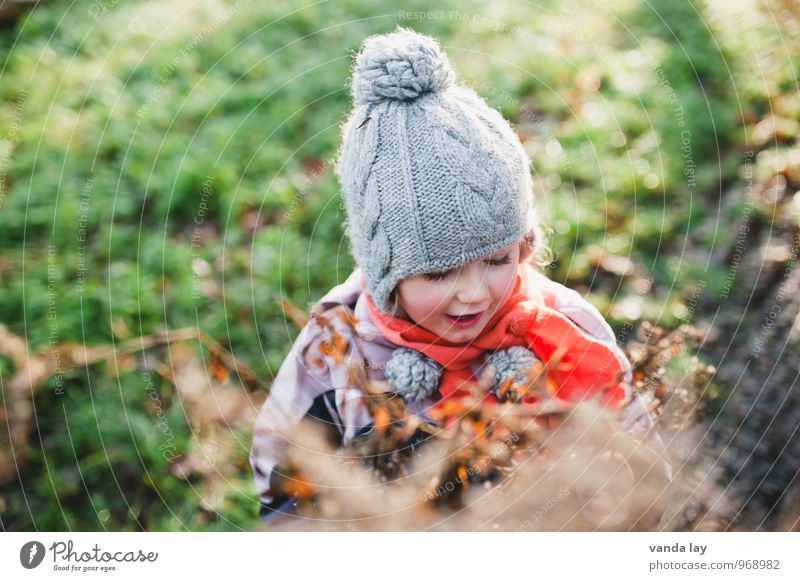 Herbst Kind Mädchen 1 Mensch 3-8 Jahre Kindheit Garten Konzentration Mütze Quaste vertrocknet Oktober Novemberstimmung Farbfoto Tag