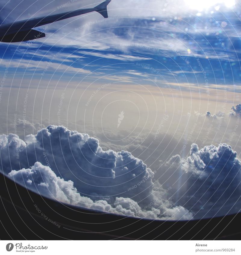 immer vorwärts Ferien & Urlaub & Reisen Tourismus Ferne Himmel Wolken Gewitterwolken Sonne Luftverkehr Flugzeug Passagierflugzeug Flugzeugausblick fliegen frei