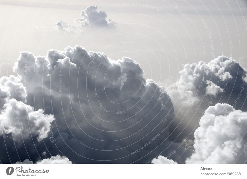da braut sich was zusammen Natur Urelemente Luft Himmel Wolken bedrohlich Luftverkehr Luftaufnahme Gedeckte Farben Außenaufnahme Menschenleer Textfreiraum oben