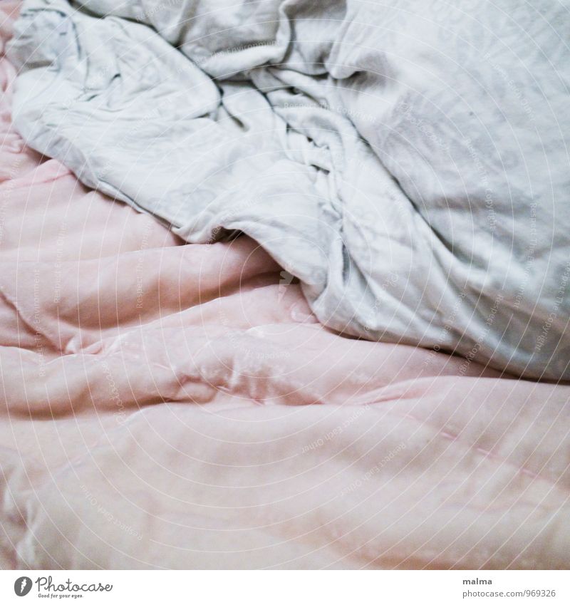 sanft Dekoration & Verzierung Decke Samt rosa gemütlich weich Wärme kuschlig Bettwäsche Farbfoto Innenaufnahme Detailaufnahme Textfreiraum oben