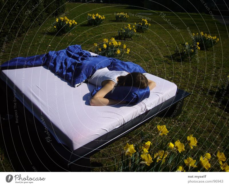 Dreamin' away II Bett schlafen träumen Sommer Physik Blume gelb grün Feld Park Wärme blau Rasen Natur Außenaufnahme