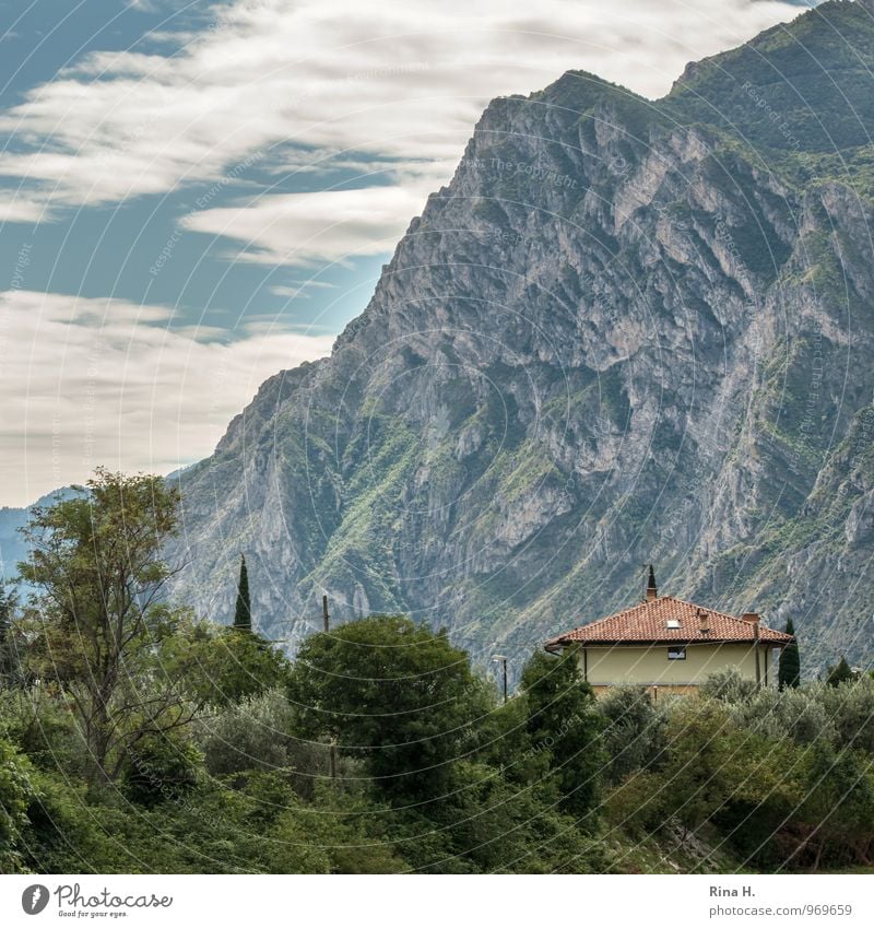 Am Fuße Ferien & Urlaub & Reisen Tourismus Natur Landschaft Himmel Wolken Sommer Schönes Wetter Pflanze Baum Garten Berge u. Gebirge Torbole Italien