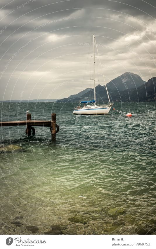 Sturm über dem Gardasee Natur Landschaft Wolken Horizont Sommer schlechtes Wetter Unwetter Wind Berge u. Gebirge See Italien Segelboot Anker sitzen dunkel Möwe