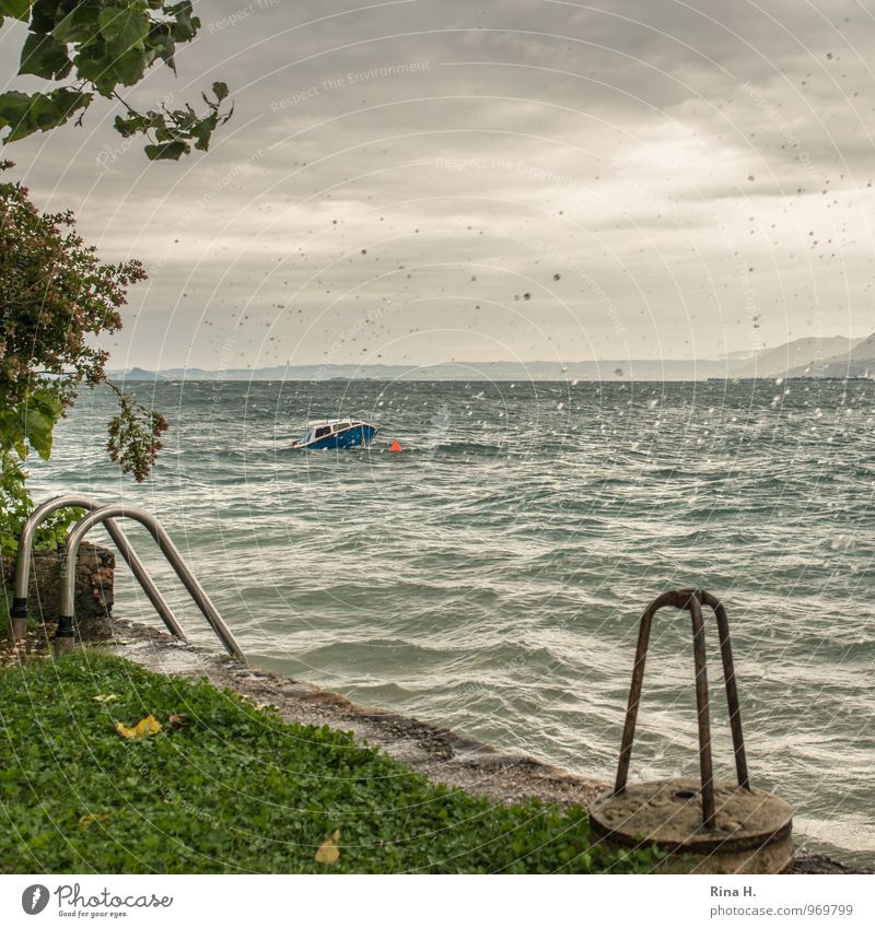 Sturm über dem Gardasee II Umwelt Natur Landschaft Wolken Sommer Klima Wetter schlechtes Wetter Regen Gras Sträucher Seeufer Italien Sportboot Motorboot