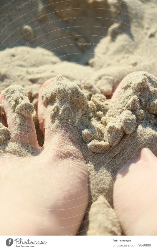 soft sand Körper Haut Fuß 18-30 Jahre Jugendliche Erwachsene Sommer Schönes Wetter Küste Meer Insel berühren Sandstrand Wärme Fußzehen beerdigen