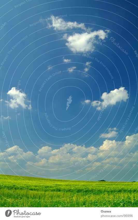 Himmel und Erde weiß grün - ein lizenzfreies Stock Foto von Photocase