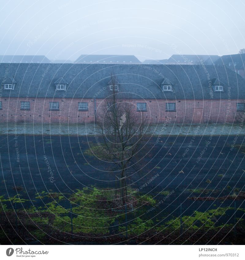 Täglich grüßt diese Aussicht. I Winter schlechtes Wetter Nebel Baum Moos Lüneburg Bundesadler Dorf Stadtrand Fabrik Bauwerk Gebäude Architektur Militärgebäude