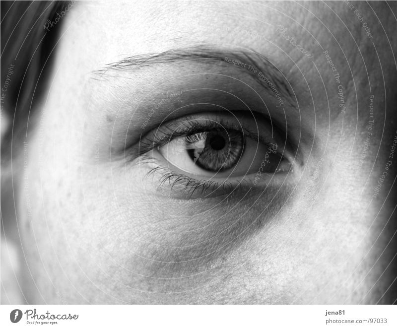 Auge Wahrheit Sinnesorgane sichtbar Schwarzweißfoto Mensch Gefühle Gesicht Blick