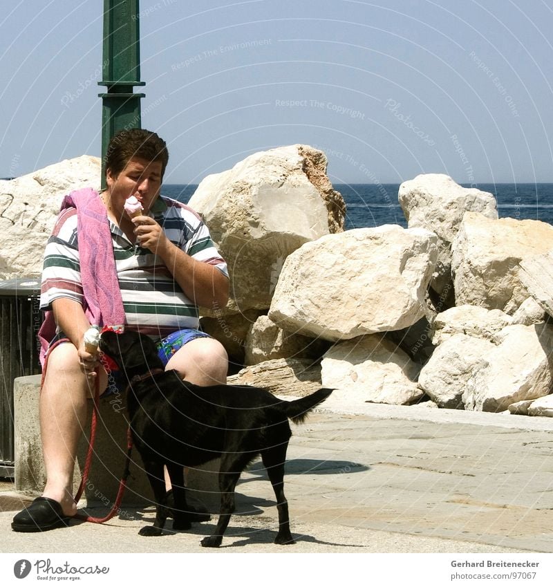 Weightwatcher`s Watchdog Hund Mann Physik lutschen Meer Teilung kühlen Kühlung Sommer Süßwaren Eis Wärme Essen teilen