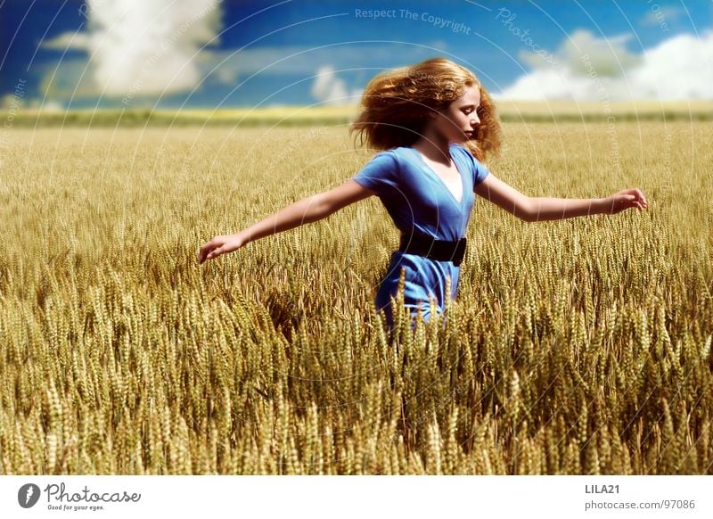 Champ de liberté Feld Fröhlichkeit Sommer gelb Gemälde ökologisch Freude blau Getreide Himmel Natur rennen Glück Freiheit Wetter Arme Bioprodukte