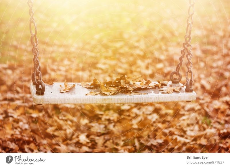 Verlassene Schaukel in der Herbstsonne Natur Sonnenlicht Wind Blatt Park Spielzeug Traurigkeit gelb Gefühle Stimmung Romantik Trauer Einsamkeit Armut