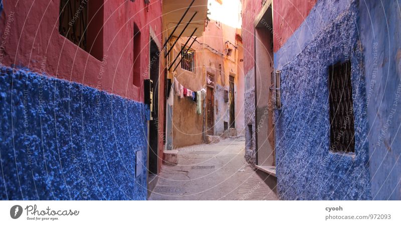 Die Farben Marokkos Stadt Altstadt überbevölkert Haus alt Armut Fröhlichkeit historisch hoch violett rosa exotisch einzigartig Inspiration Stil
