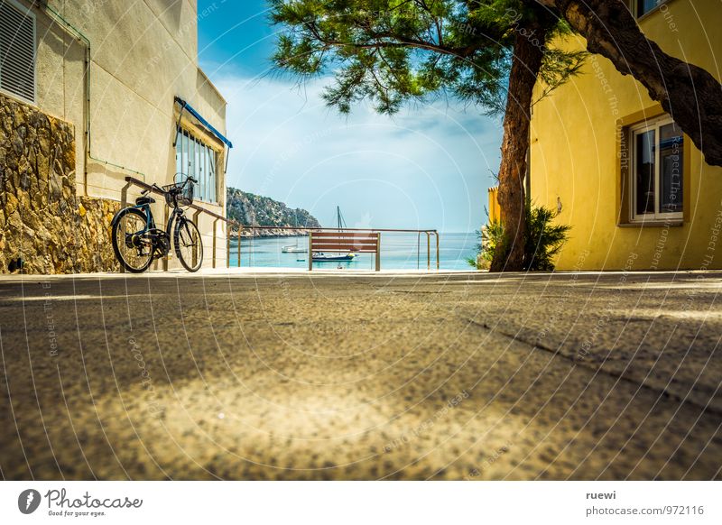 Bank mit Meeresblick Ferien & Urlaub & Reisen Sommer Sommerurlaub Natur Wasser Himmel Klima Schönes Wetter Mallorca Haus Mauer Wand Schifffahrt Jacht Jachthafen