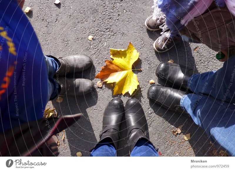 8 Füße und ein Blatt Umwelt Natur Pflanze Tier Sonne Herbst Schönes Wetter Bildung Freizeit & Hobby Freude Freundschaft Kastanie Kastanienbaum Kastanienblatt