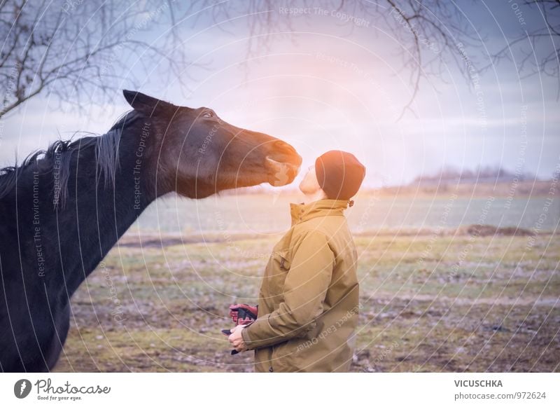 Pferd und Mann grüßen sich in der Morgendämmerung Lifestyle Freizeit & Hobby Mensch maskulin Junger Mann Jugendliche 1 30-45 Jahre Erwachsene Natur Himmel