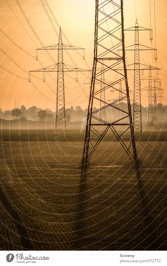 Energieträger Technik & Technologie Energiewirtschaft Elektrizität Strommast Hochspannungsleitung Umwelt Himmel Sonne Sonnenlicht Herbst Nebel Feld groß Stress