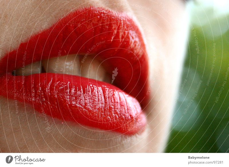 rote Sinnlichkeit Lippen Küssen Frau feminin knackig verführerisch Oberlippe Unterlippe rote Lippen Mund Makroaufnahme Alkoholisiert Detailaufnahme Zähne