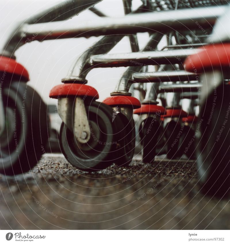 Raeder Einkaufswagen trist Einsamkeit Regen nass Langeweile Rad Metall Wassertropfen Bodenbelag