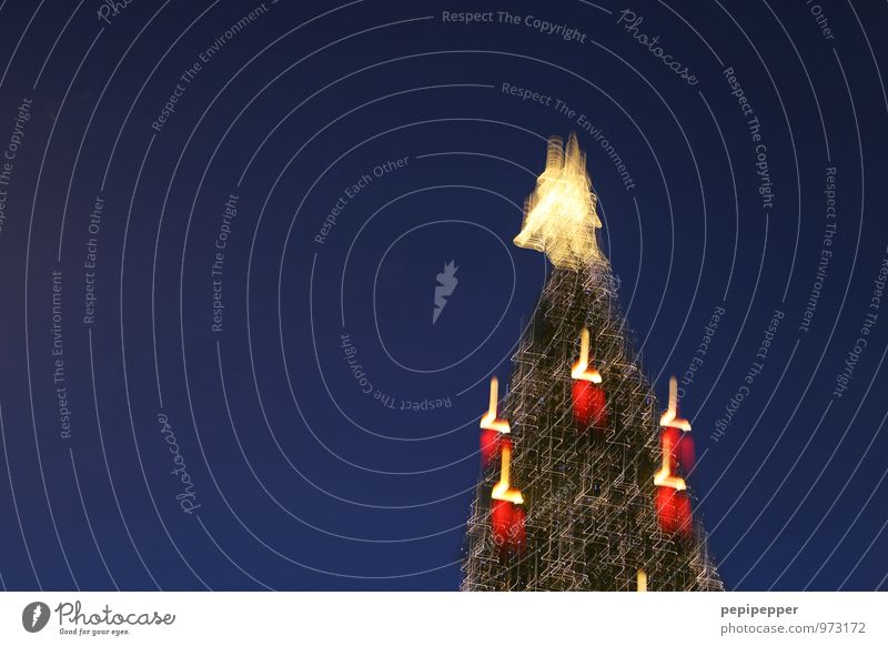 Weihnachtsbaum Feste & Feiern Weihnachten & Advent Baum Sehenswürdigkeit Kerze Zeichen Ornament Engel Kugel blau Weighnachten Farbfoto Außenaufnahme Experiment