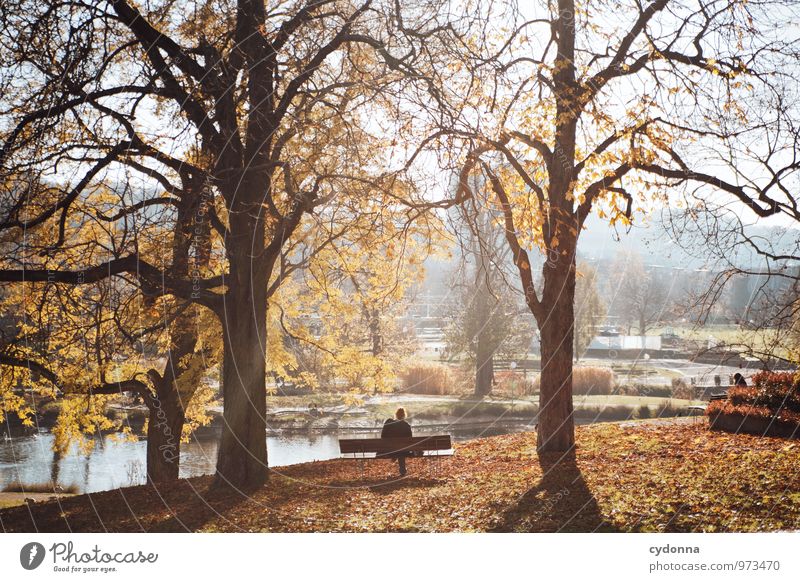 An einem Herbstsonntag Lifestyle harmonisch Wohlgefühl Erholung ruhig Freizeit & Hobby Ausflug Freiheit Mensch Umwelt Natur Landschaft Schönes Wetter Baum Park