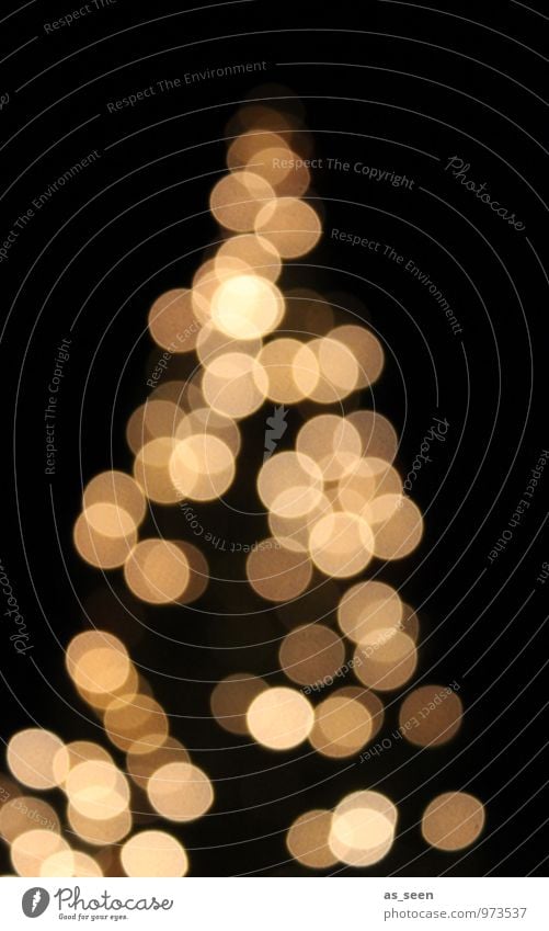 XMAS* Lifestyle elegant Stil harmonisch ruhig Nachtleben Feste & Feiern Weihnachten & Advent Winter Baum Weihnachtsbaum Weihnachtsbeleuchtung glänzend leuchten