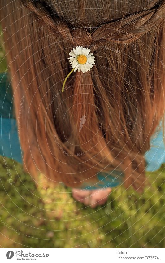Be Sure to Wear Some Flowers in Your Hair schön Körperpflege Wellness harmonisch Erholung Meditation Freizeit & Hobby Spielen Ferien & Urlaub & Reisen Sommer