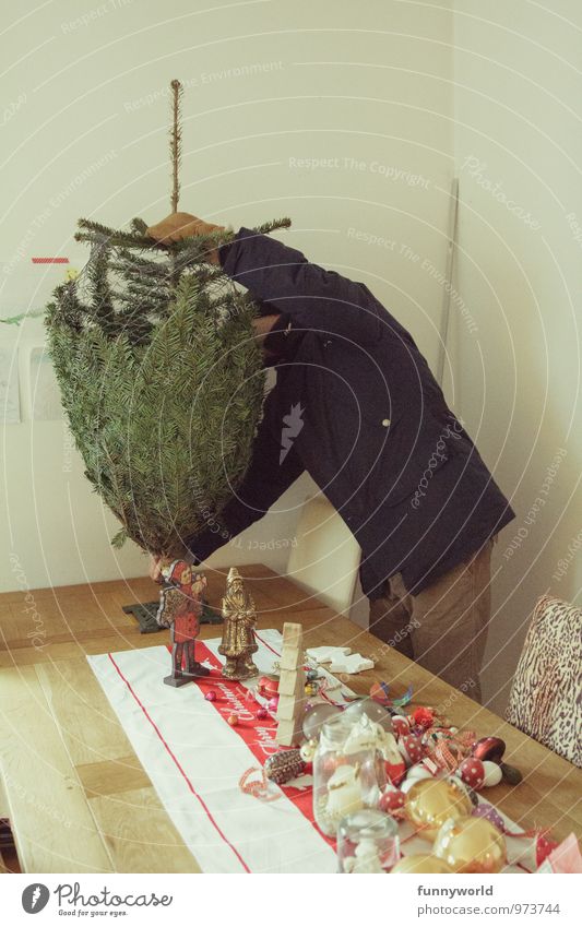 aufgesetzt Weihnachten & Advent Mann Erwachsene 30-45 Jahre Weihnachtsbaum tragen Dezember Vorfreude Christentum Dekoration & Verzierung Tradition Farbfoto