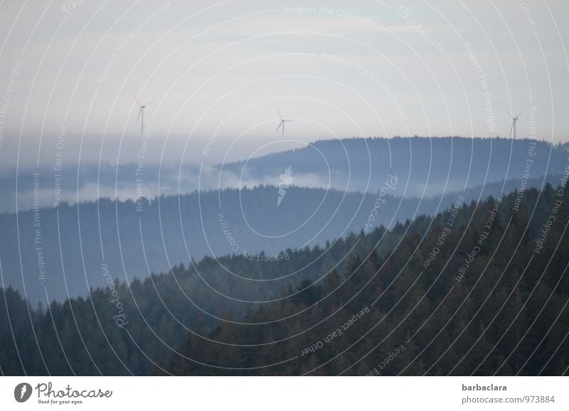Schwarzwaldhöhe Windkraftanlage Umwelt Natur Landschaft Himmel Herbst Winter Nebel Wald Hügel Berge u. Gebirge frei hell blau Stimmung Erholung Horizont ruhig