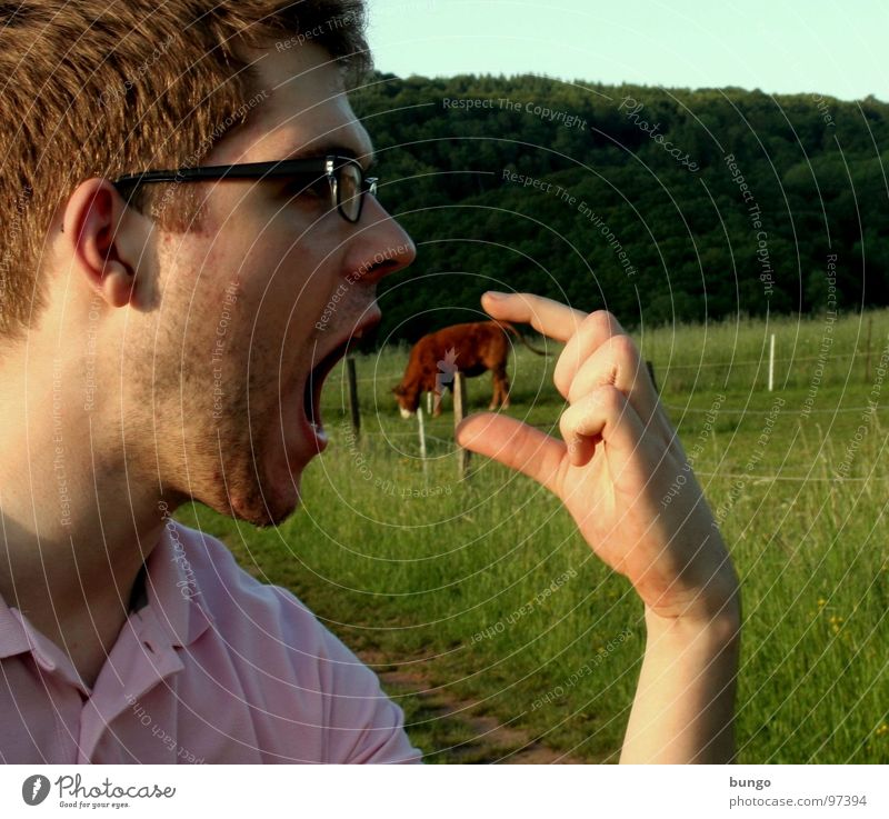 Marc verliert die 3. Dimension Hand Porträt Mann Brille Kuh Rind lustig dreidimensional Wiese Fressen Silhouette Ernährung Finger Fastfood lecker Mahlzeit