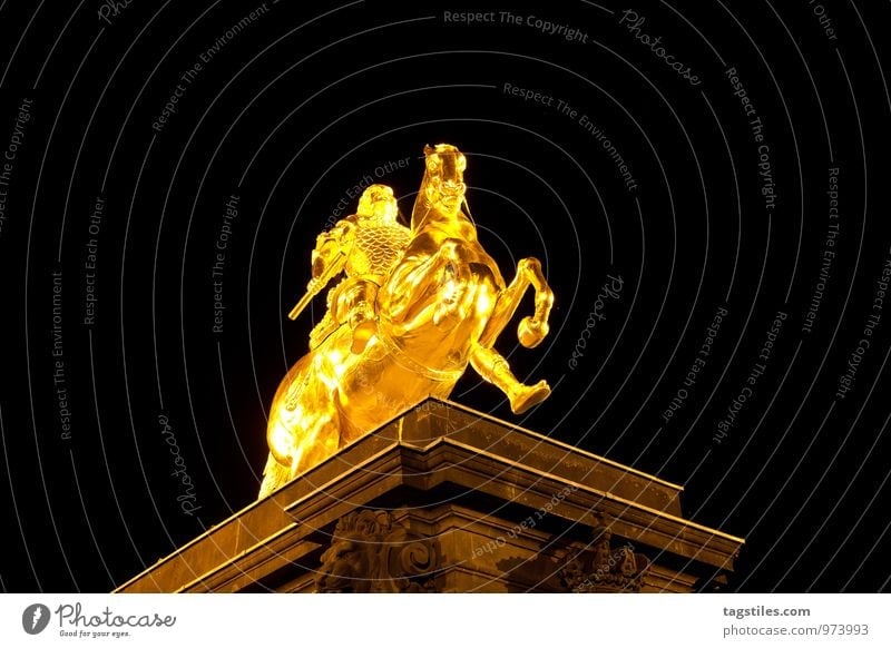 GOLDENER REITER Dresden Sachsen Deutschland gold Reiter goldene Reiter Pferd Denkmal Nacht Abend dunkel Ferien & Urlaub & Reisen Reisefotografie Idylle Freiheit