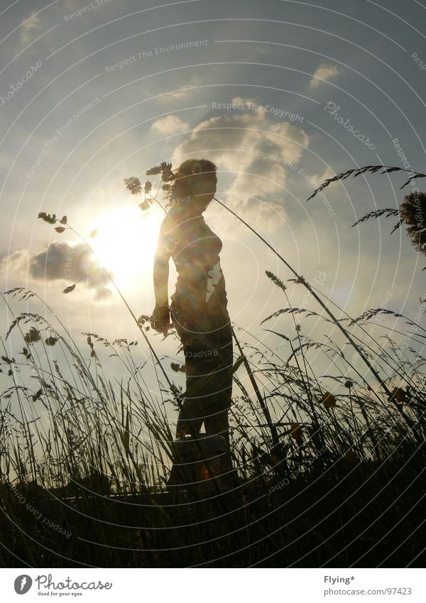 Aus Maulwurfssicht Sommerabend Frau Silhouette Gras Wolken schwarz wehen groß Froschperspektive Vogelperspektive Mensch Sonne Selbstportrait Abend wiese himmel