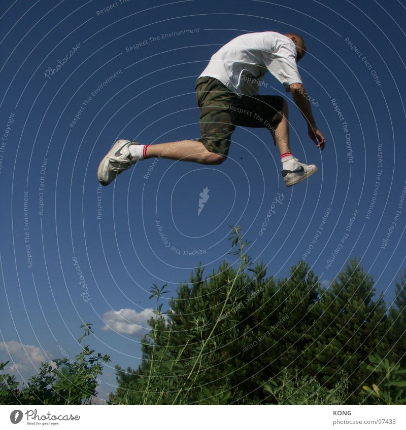 invisible obstacles springen Himmel himmelblau Pflanze Botanik Wald Nadelbaum Turnschuh Vogel Abheben Freude Leichtathletik Mann hoch springen hochspringen