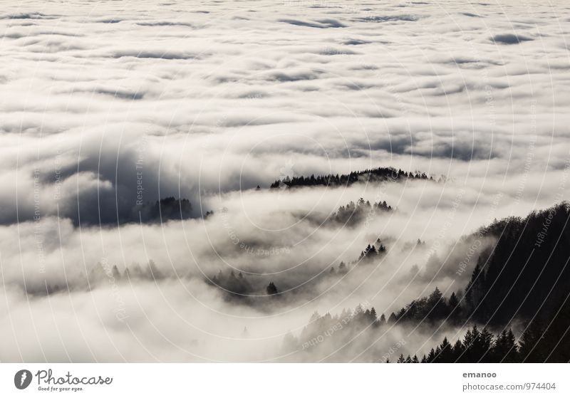 Nebelwald Ferien & Urlaub & Reisen Ausflug Ferne Freiheit Berge u. Gebirge wandern Umwelt Natur Landschaft Luft Himmel Wolken Klima Wetter schlechtes Wetter