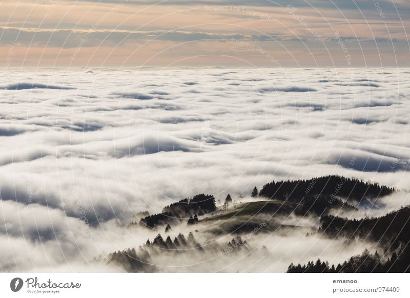 im Nebelmeer Ferien & Urlaub & Reisen Tourismus Ausflug Ferne Freiheit Berge u. Gebirge wandern Umwelt Natur Landschaft Luft Himmel Wolken Horizont Sonnenlicht