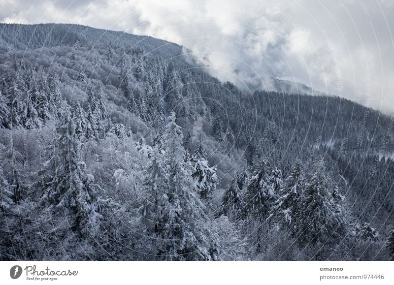 weisser Schwarzwald Ferien & Urlaub & Reisen Ausflug Winter Schnee Winterurlaub Berge u. Gebirge wandern Umwelt Natur Landschaft Pflanze Luft Himmel Wolken