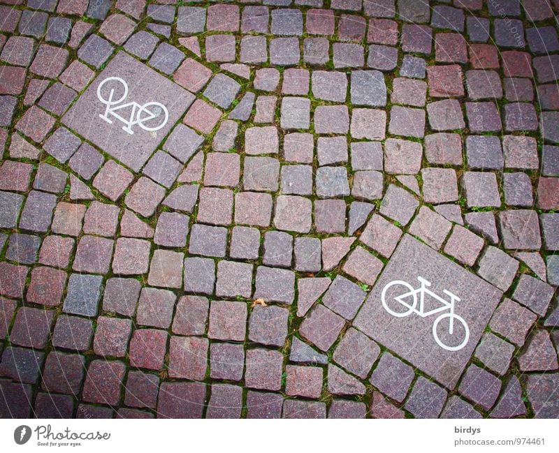 Gegenverkehr Fahrradfahren Verkehrszeichen Verkehrsschild Fahrradweg Kopfsteinpflaster Zeichen Schilder & Markierungen ästhetisch außergewöhnlich einzigartig