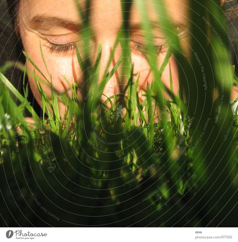 Frau liegt im Gras Wiese Halm Blatt Porträt Selbstportrait Gelassenheit Leichtigkeit Fröhlichkeit Spielen Freude Gesicht Rasen lächlen Auge Nase Falte Versteck