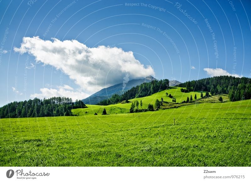 Südtiroler Land Umwelt Natur Landschaft Himmel Wolken Sommer Schönes Wetter Gras Sträucher Wiese Alpen Berge u. Gebirge ästhetisch nachhaltig natürlich blau